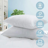cotton pillows